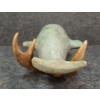 Image 6 : "NARWHAL" BY A.P. EETUK - ANTLER & STONE