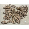 Image 2 : LOT OF 34 - NO. 1 LONG SPRING FOOTHOLD ANIMAL TRAPS