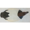 Image 6 : 1987 CANVASBACK REDHEADED DECOY DUCK