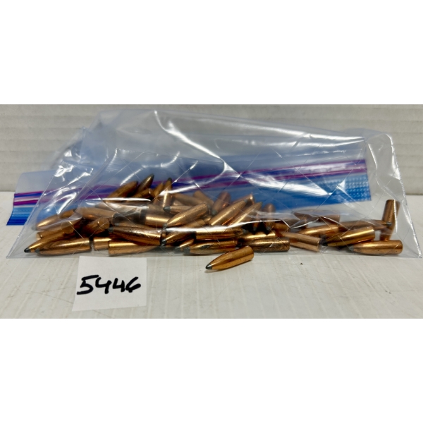 BULLETS: 64X .234 CAL 85GR. 