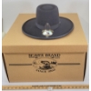 Image 1 : BEAVER BRAND BOONE HAT