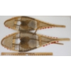 Image 2 : PAIR OF CHILD'S SNOWSHOES