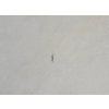 Image 5 : SHORELINE BY MCCORKINDALE - FRAMED OIL ON CANVAS