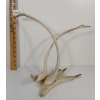Image 6 : BIRDS - SIGNED - ANTLER
