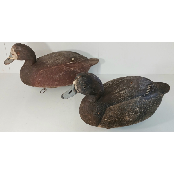 LOT OF 2 - GOLDEN EYED & BLUEBILLED DECOY DUCKS