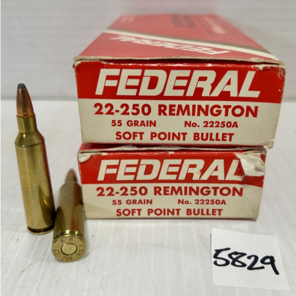 AMMO: 40X FEDERAL .22-250 REM 55GR. SP 