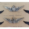 Image 2 : LOT OF 17 - US AIRFORCE PINS - INCL AVIATOR, MEDICAL, MASTER, ETC