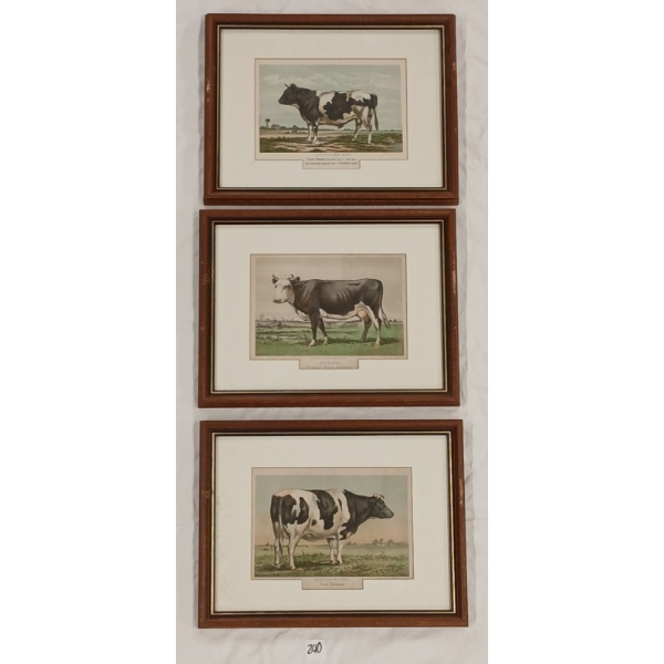 LOT OF 3 - EMRIK & BINGER FARM COWS - FRAMED LITHOGRAPH PRINTS
