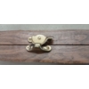 Image 2 : HARD LONG GUN CASE W/ BRASS HARDWARE