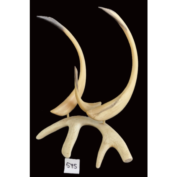 BIRDS BY E. KOTOKAK - ANTLER
