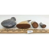 Image 4 : LOT OF 4 - POWDER FLASK & POWDER HORNS