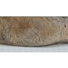 Image 8 : TRANSITION FIGURE - SIGNED - BONE