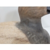 Image 6 : CANVASBACK DECOY - SIGNED LORNE LONGLEY