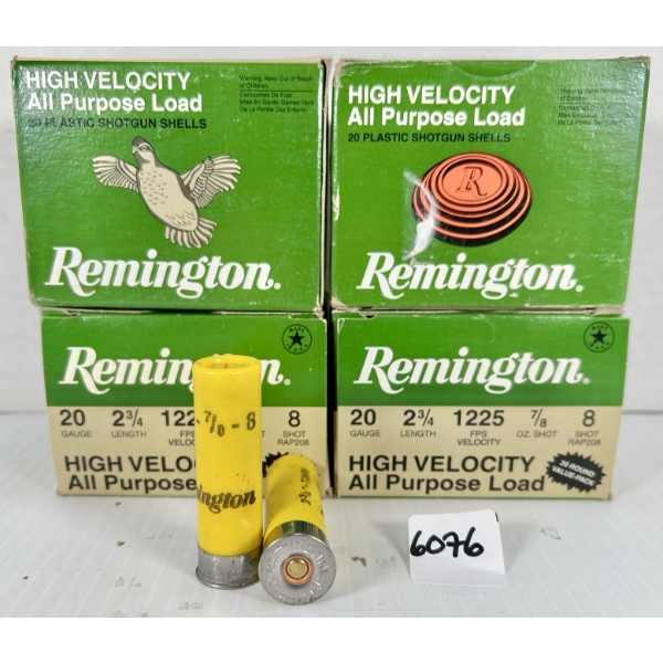 AMMO: 80X REMINGTON 20 GA 2-3/4 IN - #8
