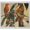LOT OF 2 - 1988 BIRDS IN BERRY TREES BY MARTEN VISSER (PRS CDN ARTIST) - ACRYLIC ON BOARD