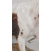 Image 7 : LOT OF 2 - ROYAL DOULTON & WOOD CARVED HUNTING DOG FIGURES