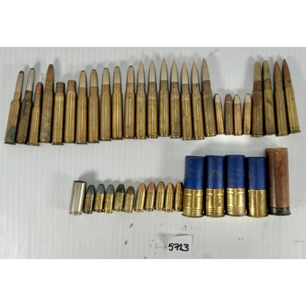 AMMO: 43X MIXED RIFLE, HANDGUN & SHOTGUN CARTRIDGES