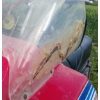 Image 5 : YAMAHA BRAVO BR250 SNOWMOBILE W/ KEY