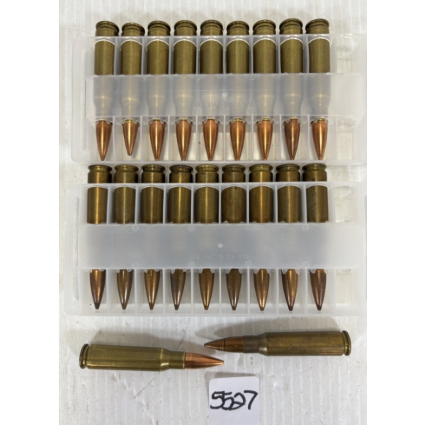 AMMO: 20 X MIXED .308 WIN  