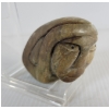 Image 2 : BUST BY UNKNOWN ARTIST - STONE