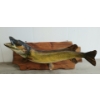 Image 1 : NORTHERN PIKE TAXIDERMY WALL MOUNT