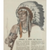 Image 4 : FRAMED RED INDIAN SMOKE A PIPE OF PEACE PAPER ADVERTISEMENT