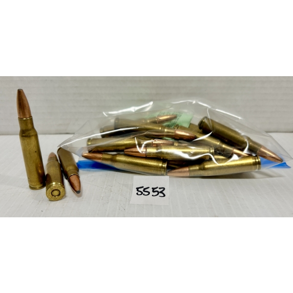 AMMO: 20X .308 WIN 180GR. - RELOADS