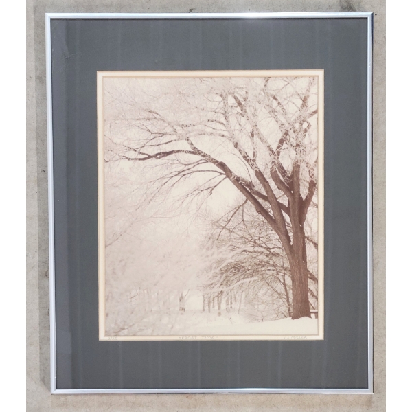 "FROST TIME" BY J.D. MILLER - FRAMED PRINT