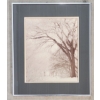 Image 1 : "FROST TIME" BY J.D. MILLER - FRAMED PRINT