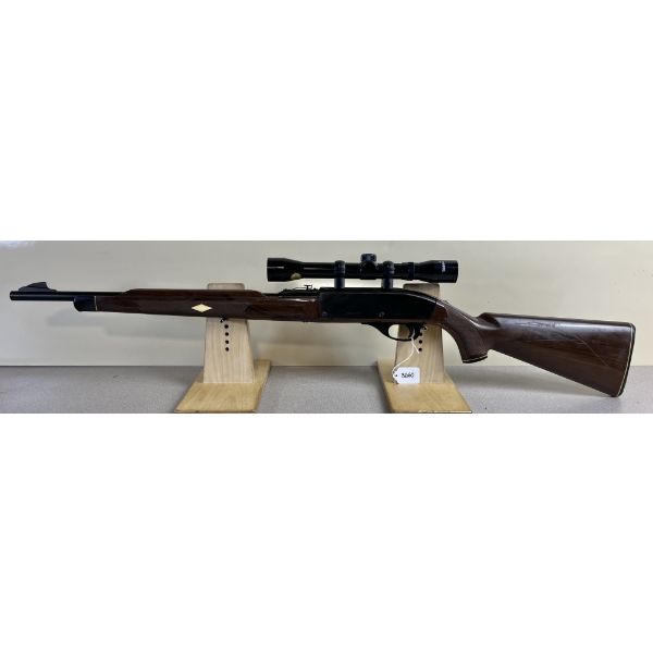 REMINGTON NYLON 66 IN .22 LR