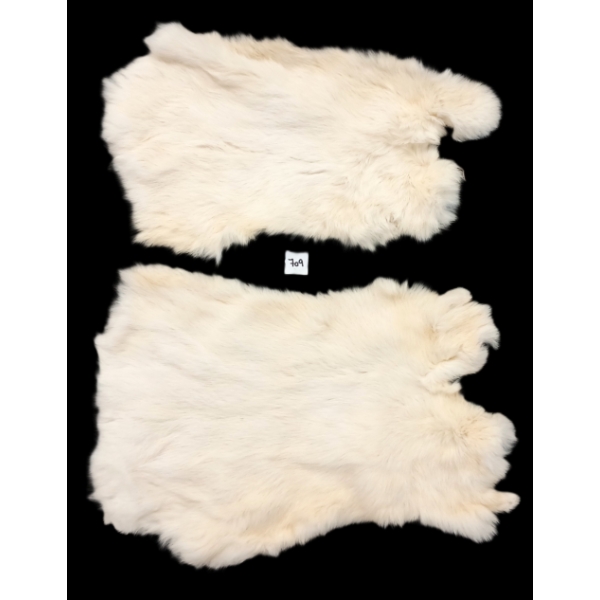 LOT OF 2 - ARCTIC HARE (?) PELTS 