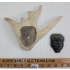 Image 8 : HUMAN FACE ON ANTLER FIGURE - UNKNOWN ARTIST - STONE & ANTLER