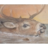 Image 2 : SWIMMING WHITE TAIL DEER BY H.E. SELLER - WATERCOLOUR ON PAPER