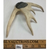 Image 6 : HUMAN FACE ON ANTLER FIGURE - UNKNOWN ARTIST - STONE & ANTLER