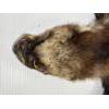 Image 3 : ALASKIAN WOLVERINE - VERY GOOD CONDITION