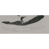 Image 3 : 1976 "FEEDING LOONS" BY DAVIDIALUK / LEAH QUMALUK - STONECUT