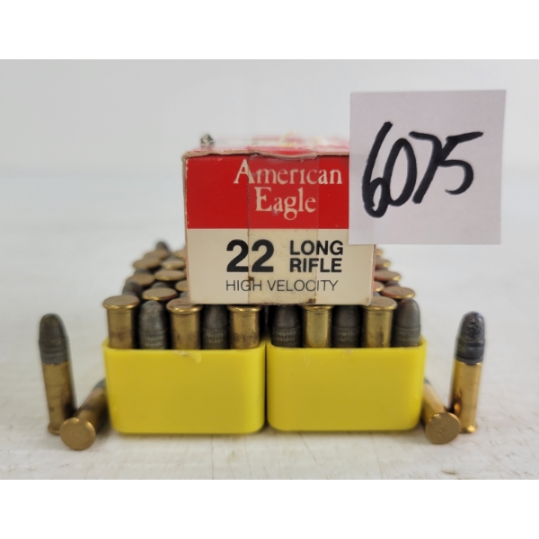 AMMO: 150X MIXED .22LR - HV
