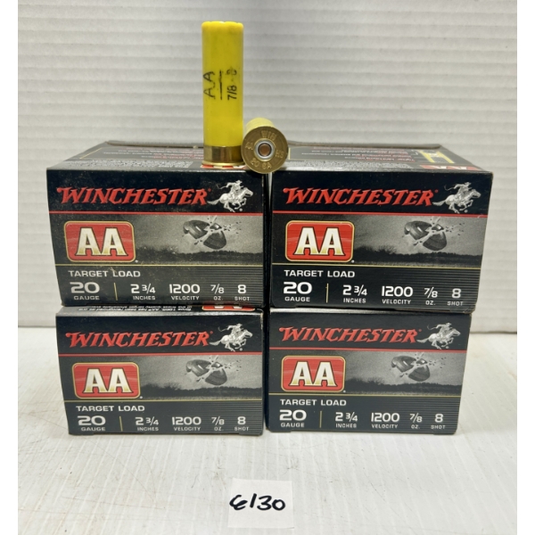 AMMO: 100X WINCHESTER 20 GA 2 3/4 IN - NO 8