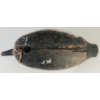 Image 5 : GOLDEN EYED DECOY - SIGNED J.W.