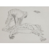 Image 2 : "CARIBOU FLENSING" BY NORMAN AOMAUK IGLOOPIALIK - PENCIL ON PAPER
