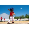 Image 1 : DON'T STRIKE OUT—LET’S KNOCK THIS SALE OUT OF THE PARK!