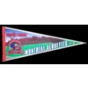 Image 1 : CFL MONTREAL ALOUETTES PENNANT