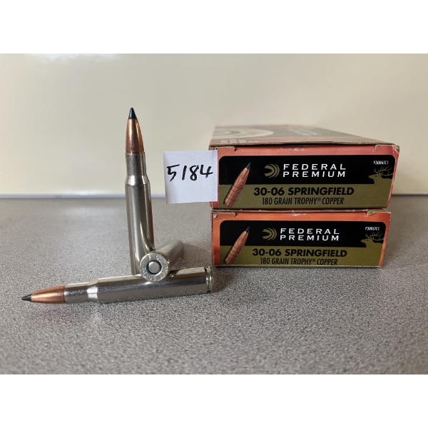 AMMO/BRASS: 31X LIVE/9X BRASS FEDERAL .30-06 180GR. TROPHY COPPER