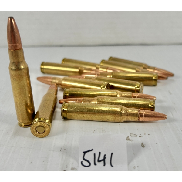 AMMO: 12X .308 WIN SP - RELOADS 
