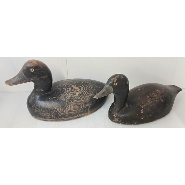LOT OF 2 - GOLDEN EYED DECOY DUCKS