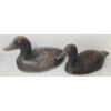 Image 1 : LOT OF 2 - GOLDEN EYED DECOY DUCKS