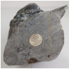 Image 7 : HUMAN HOLDING SEAL - SIGNED - STONE 