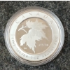 Image 2 : 2005 RCM MAPLE LEAF OF HOPE 10OZ SILVER COIN