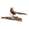 Image 1 : GOLDEN PHEASANT TAXIDERMY