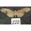 Image 3 : NORWEGIAN MARIUS HAMMER SILVER & GUILLOCHE ENAMEL BUTTERFLY BROOCH